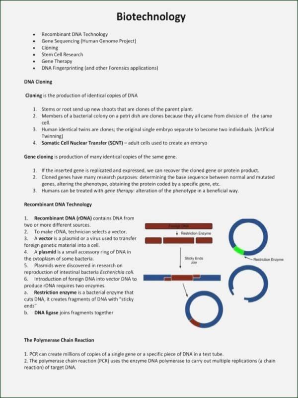 Dna Mutations Practice Worksheet Answer Lovely Dna Mutations Practice Worksheet Answers