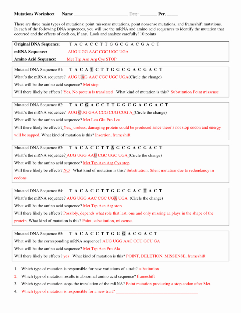 Dna Mutations Practice Worksheet Answer New Dna Mutations Practice Worksheets Answer Key