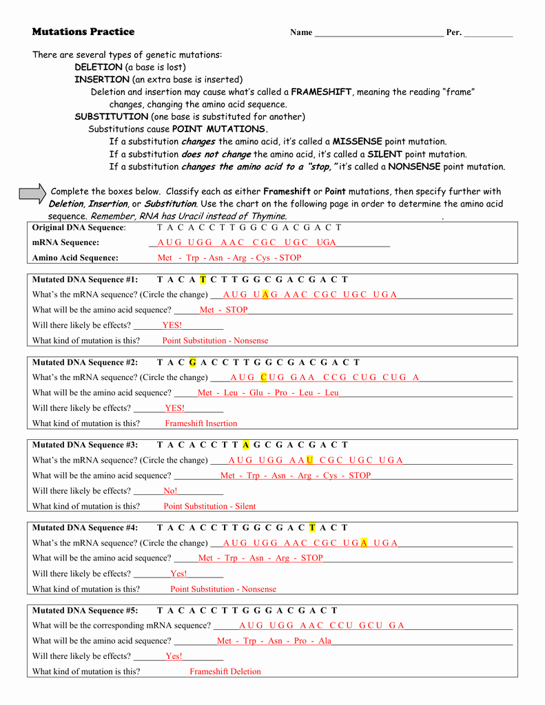 Dna Mutations Practice Worksheet Answers Awesome Mutations Worksheet