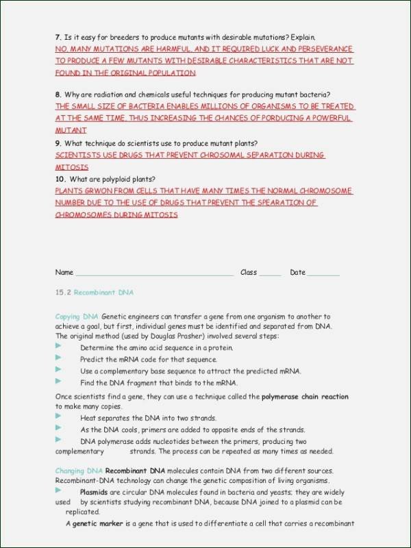 Dna Mutations Practice Worksheet Answers Lovely Dna Mutations Practice Worksheet Answers