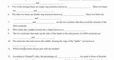 Dna Mutations Practice Worksheet Awesome Dna the Double Helix Coloring Worksheet Answers
