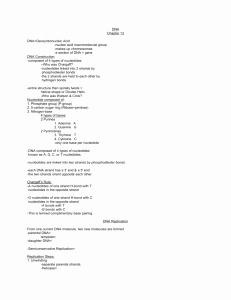 Dna Replication Coloring Worksheet New Dna Replication Coloring Worksheet