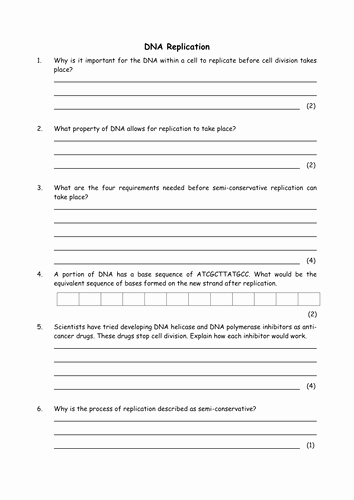 Dna Replication Review Worksheet Beautiful Biology Dna Replication by Greenapl Teaching Resources