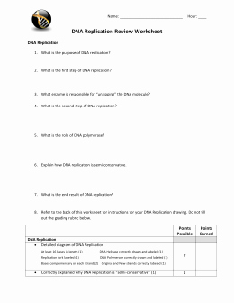 Dna Replication Review Worksheet Fresh Name Dna Questions Answer Key Use the Following