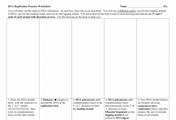 Dna Replication Review Worksheet Unique Dna Structure and Replication Review Worksheet