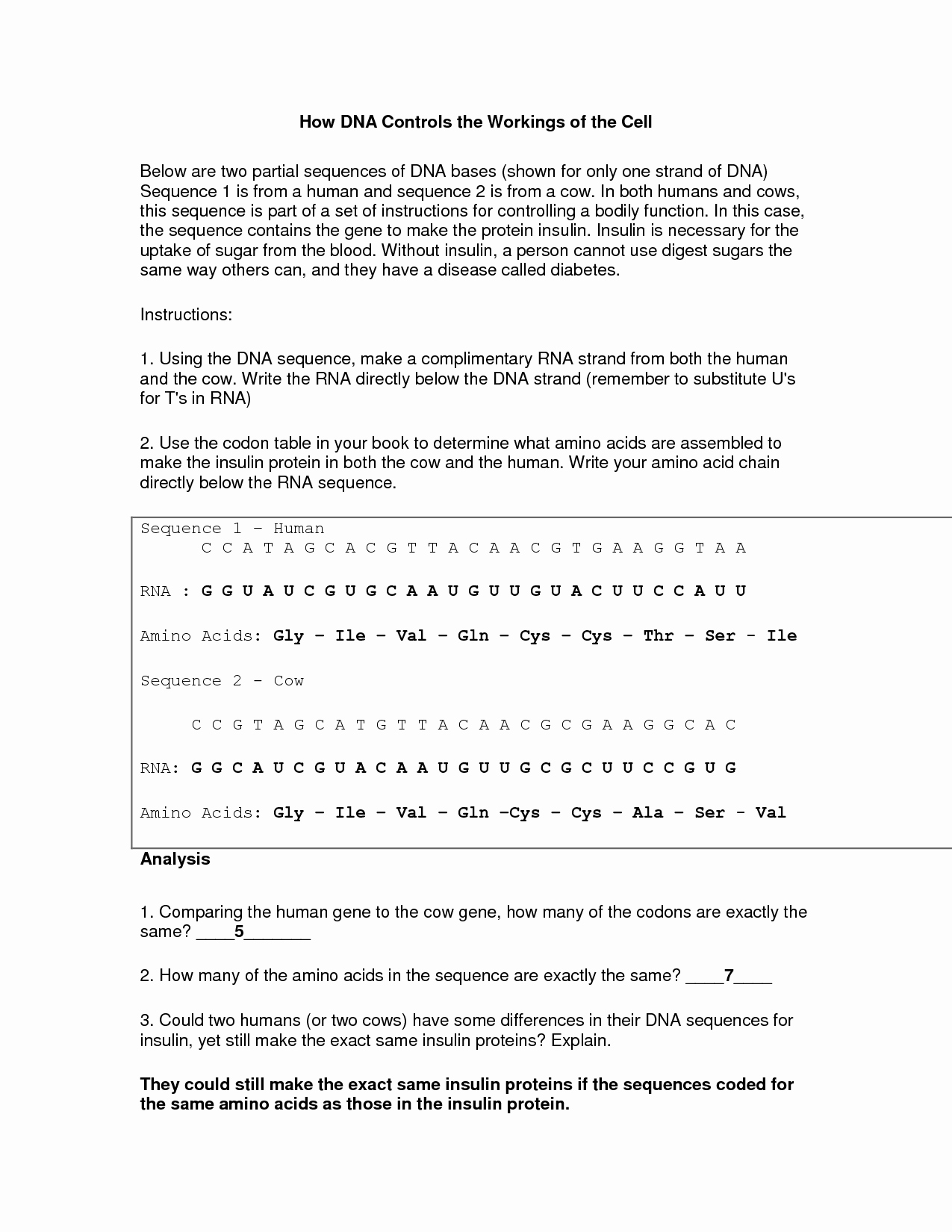 Dna Replication Worksheet Answer Key Awesome Dna Replication Worksheet 15 3