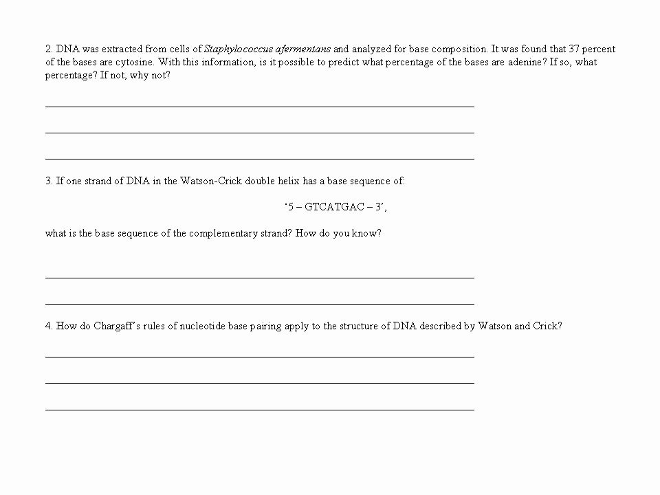 Dna Replication Worksheet Answer Key Best Of 19 Best Of Dna Replication Structure Worksheet and