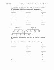 Dna Replication Worksheet Answer Key Best Of Chapter 14 Dna Replication Worksheet and Answer Key Bio