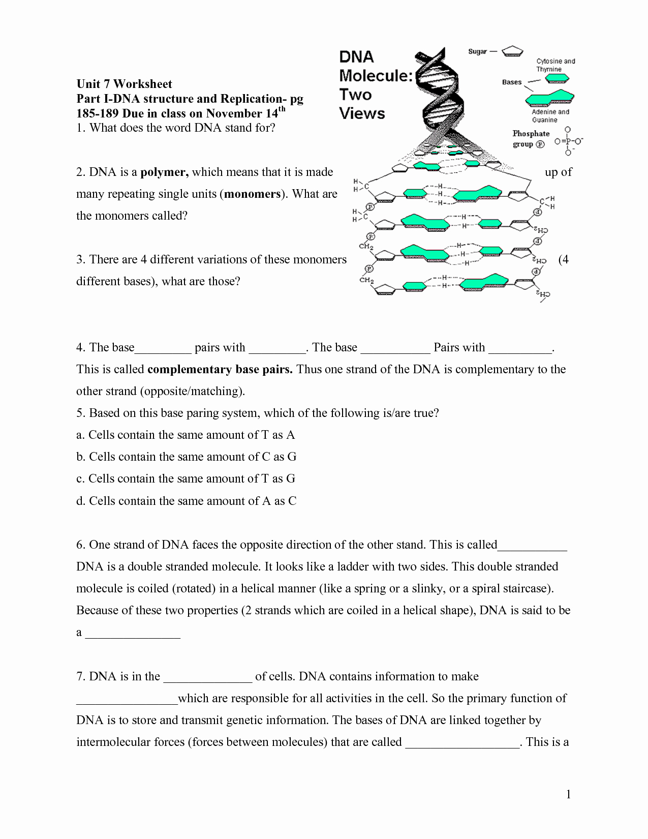 Dna Replication Worksheet Answers Best Of 19 Best Of Dna Replication Structure Worksheet and