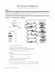 Dna Structure and Replication Worksheet Best Of 18 Dna Structure and Replication S Ricardo Rambarran
