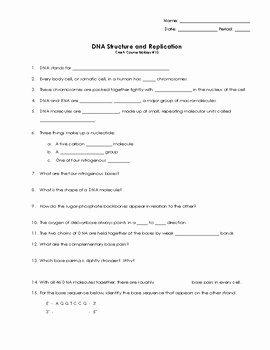 Dna Structure and Replication Worksheet Lovely Crashcourse Biology 10 Dna Structure and Replication by