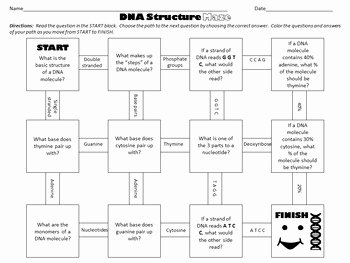Dna Structure Worksheet Answer Best Of Dna Structure Maze Worksheet for Review or assessment by