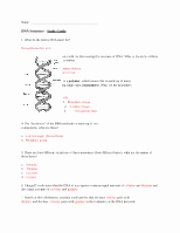 Dna Structure Worksheet Answer Best Of Study Guide Unit 7 Dna Structure Name Dna Structure