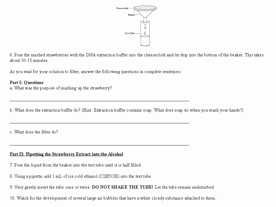 Dna Structure Worksheet Answer Key Beautiful 19 Best Of Discovering Dna Structure Worksheet
