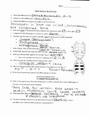 Dna Structure Worksheet Answer Key Luxury Advhbio Ch 10 Dna Worksheet 1 Name Period Date Dna the