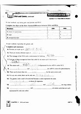 Dna Structure Worksheet Answer Key New 18 Best Of Dna and Genes Worksheet Chapter 11 Dna
