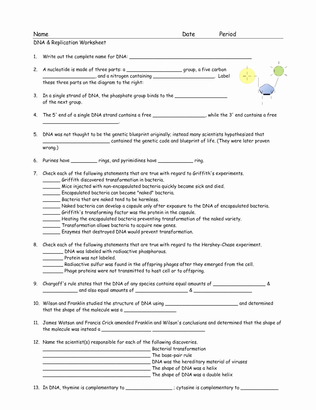 Dna Structure Worksheet Answer Key New Dna Structure and Replication Review Worksheet