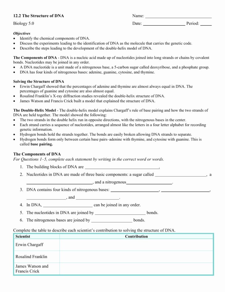 Dna Structure Worksheet Answer Key Unique Dna Replication Worksheet Answers
