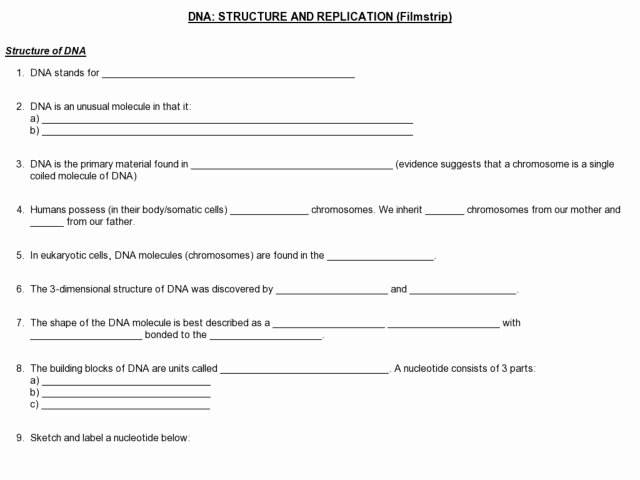 Dna Structure Worksheet Answer Luxury Dna Structure and Replication Movie Worksheet for 10th