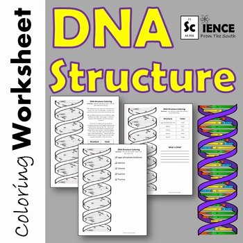 Dna the Double Helix Worksheet Awesome Dna Structure Double Helix Coloring Printable Worksheet