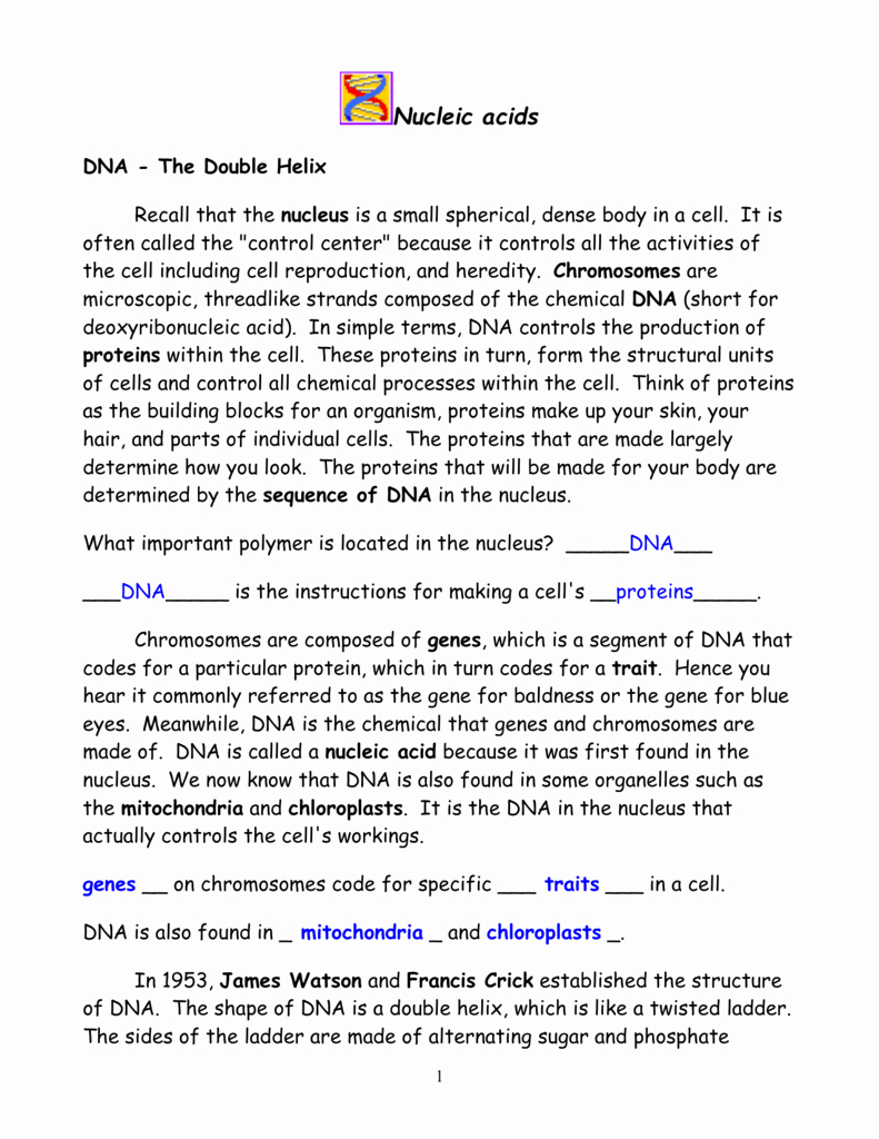 Dna the Double Helix Worksheet Luxury Race for the Double Helix Worksheet Answers