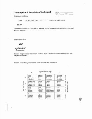 Dna Transcription and Translation Worksheet Awesome Transcription and Translation Worksheet Phs Biology