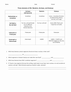 Domains and Kingdoms Worksheet Awesome Studylib Essys Homework Help Flashcards Research