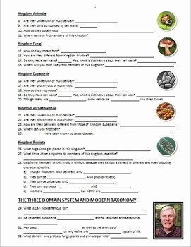 Domains and Kingdoms Worksheet Best Of the Six Kingdoms and Three Domains Of Life Powerpoint