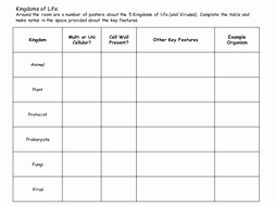 Domains and Kingdoms Worksheet Fresh Classification 5 Kingdoms Of Life and Viruses Poster