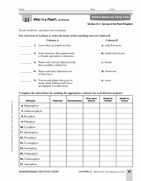 Domains and Kingdoms Worksheet Unique Survey Of the Plant Kingdom Worksheet for 9th Higher Ed