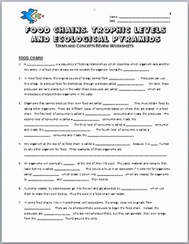 Ecological Pyramids Worksheet Answer Key New Food Chains Review Worksheet Editable by Tangstar