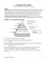 Ecological Pyramids Worksheet Answers Best Of Describe How the Consumers In One Level Of the Pyramid
