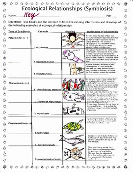 Ecological Relationships Worksheet Answers Fresh Symbiosis In Ecological Relationships by Biology Buff