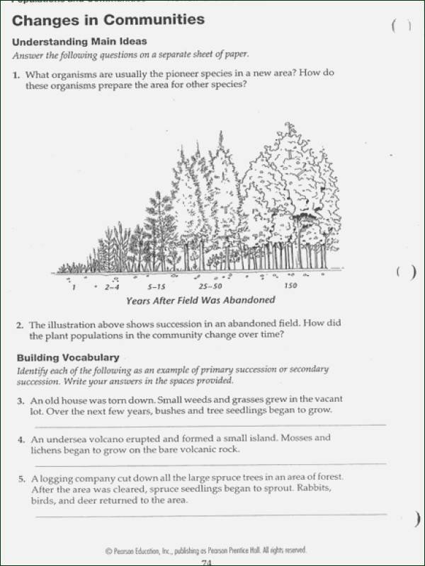 Ecological Relationships Worksheet Answers