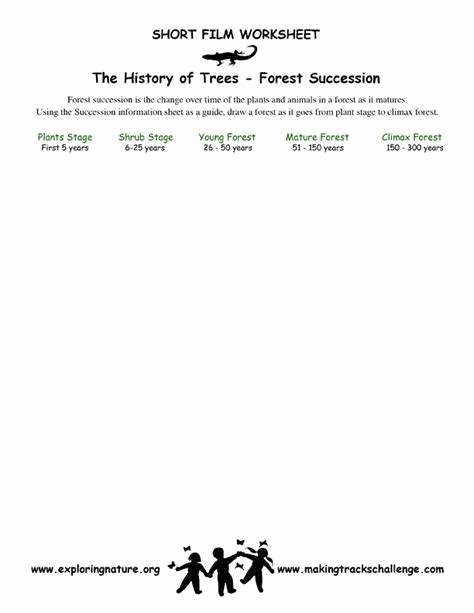 Ecological Succession Worksheet Answer Key Best Of Ecological Succession Worksheet
