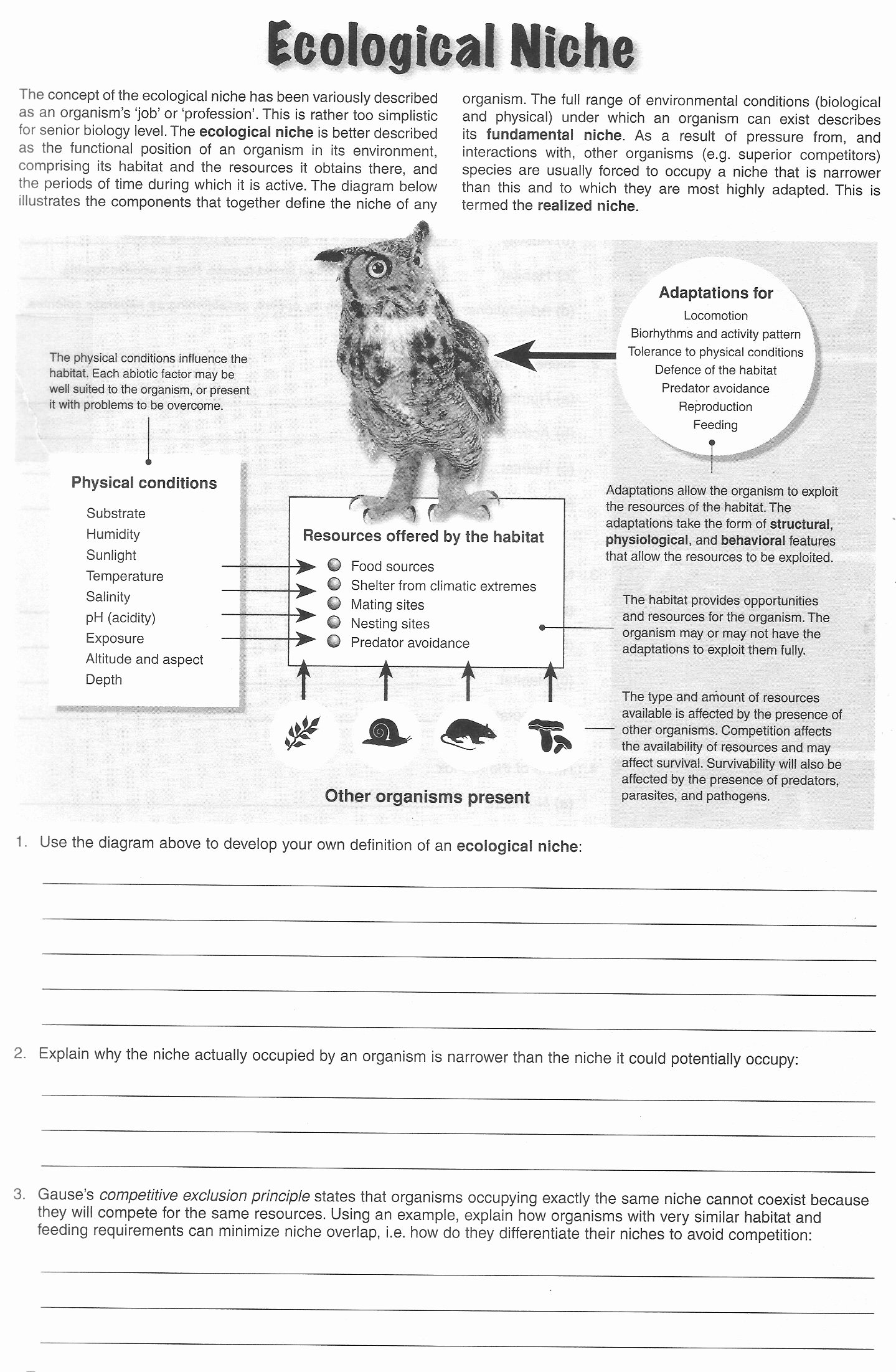 Ecological Succession Worksheet Answers Beautiful Habitat and Niche Worksheet