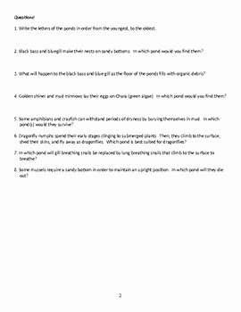 Ecological Succession Worksheet Answers Elegant Ecological Succession Worksheet by Aprotonicpointofview