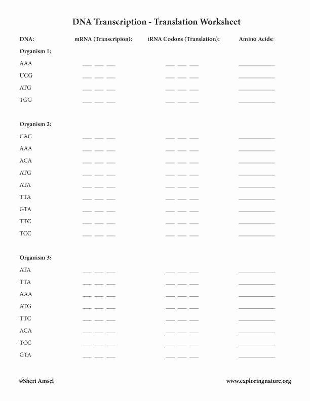 Ecological Succession Worksheet Answers Elegant Ecological Succession Worksheet