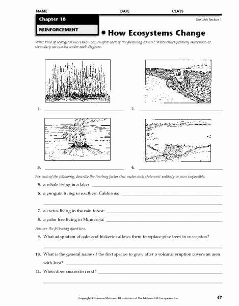 Ecological Succession Worksheet Answers Fresh Ecological Succession Worksheet