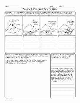 Ecological Succession Worksheet High School Awesome Printables Ecology Worksheets for High School