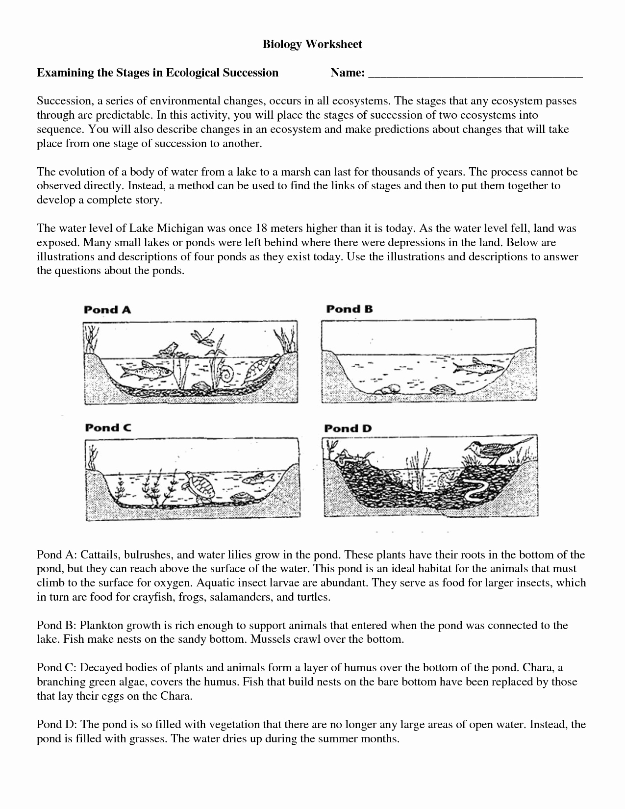 Ecological Succession Worksheet High School Luxury 11 Best Of Ecosystem Worksheets for Middle School