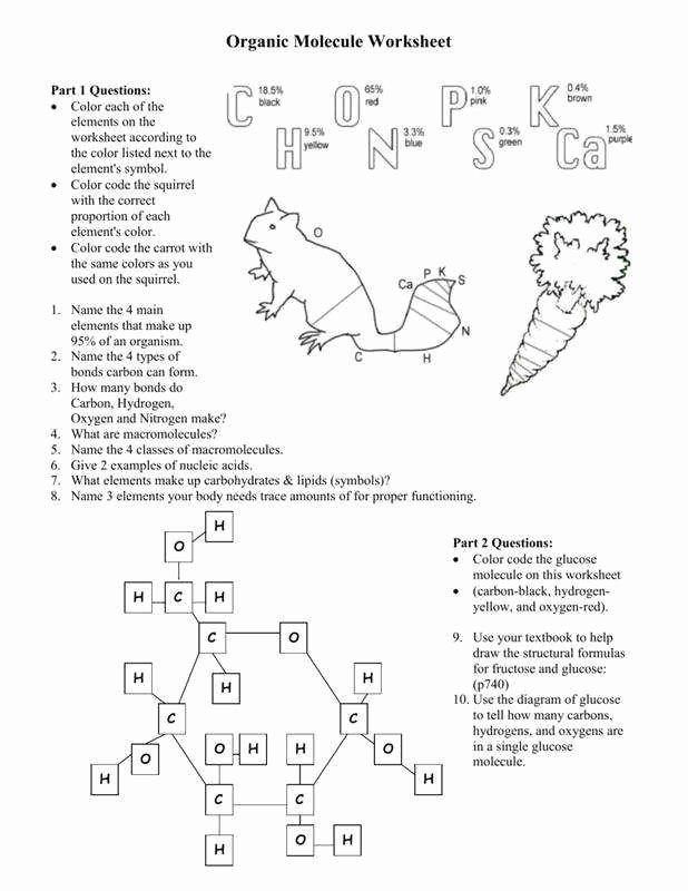 Ecology Review Worksheet 1 Awesome Ecology Worksheets