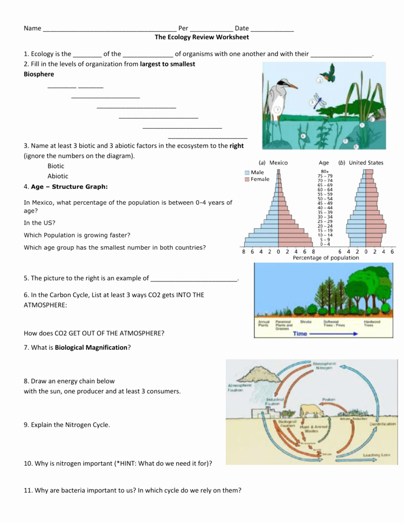 Ecology Review Worksheet 1 Best Of the Ecology Review Worksheet