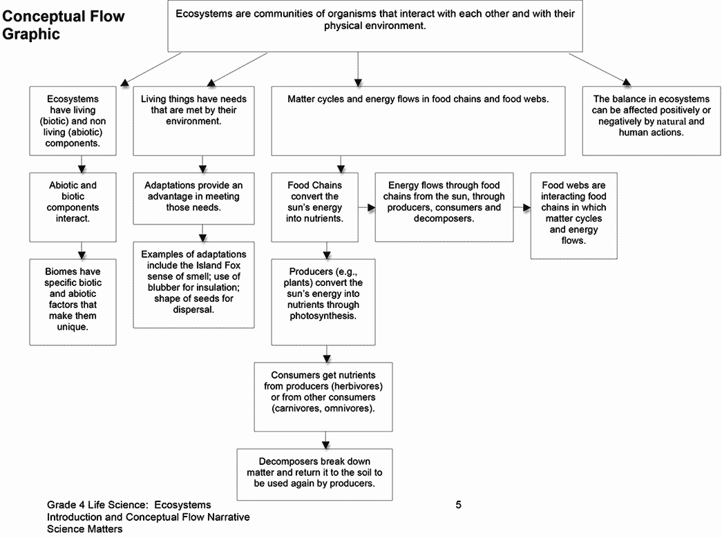50 Energy Flow In Ecosystems Worksheet
