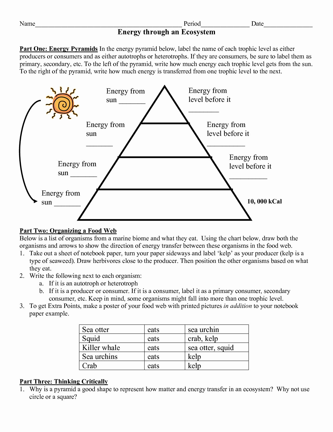 Energy Flow In Ecosystems Worksheet