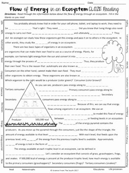 Energy Flow In Ecosystems Worksheet Inspirational Flow Of Energy In Ecosystems Cloze Reading for Notes