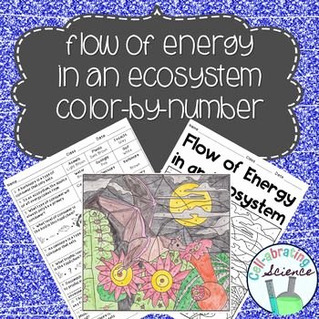 Energy Flow In Ecosystems Worksheet Lovely 1000 Images About Tpt Science Lessons On Pinterest