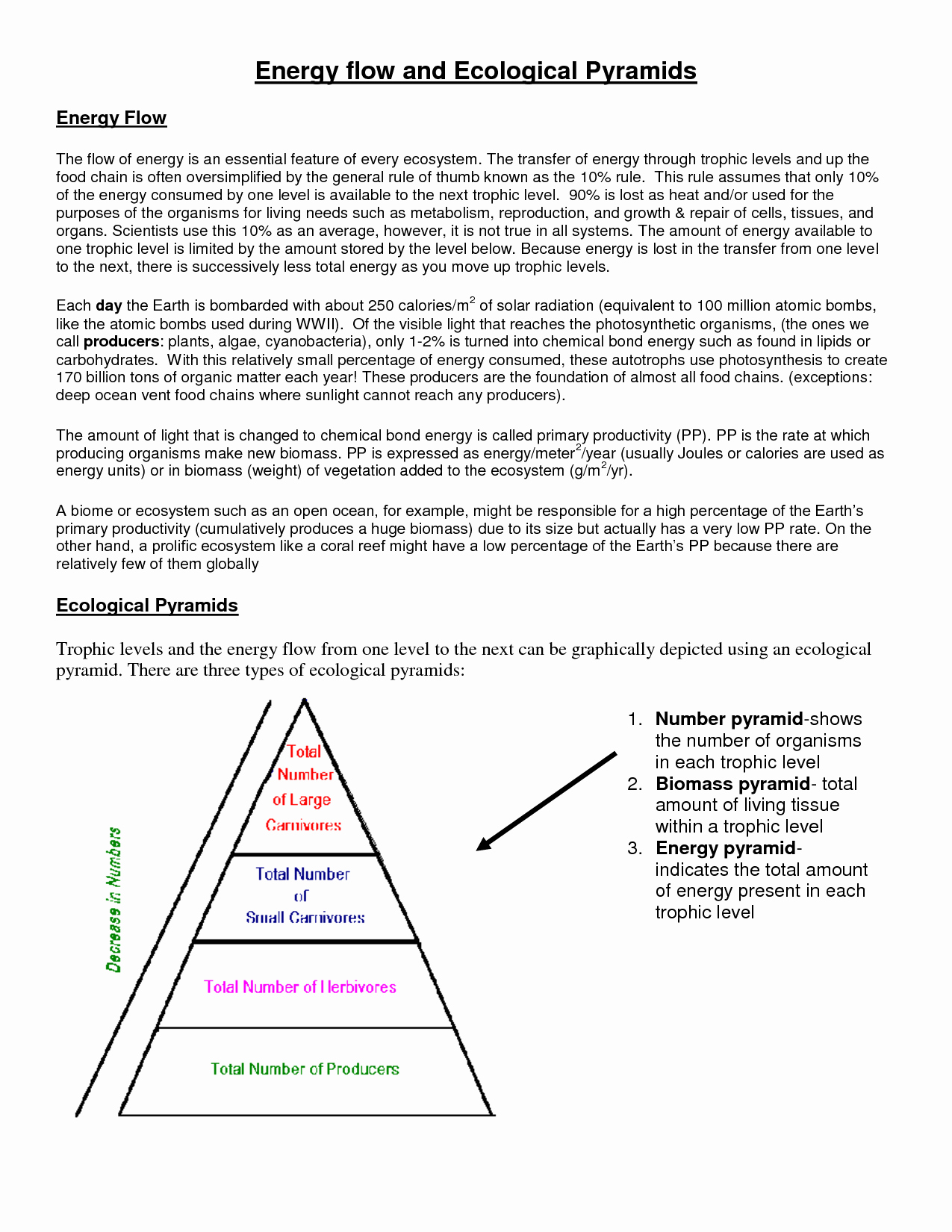Energy Flow In Ecosystems Worksheet New 13 Best Of Ecological Pyramids Worksheet Answer Key