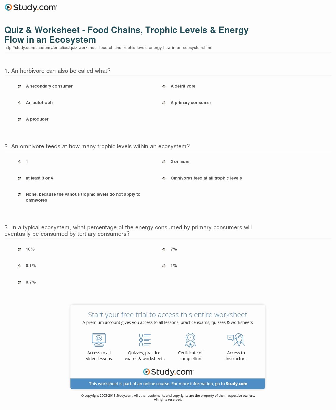 Energy Flow In Ecosystems Worksheet