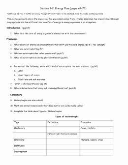 Energy Flow Worksheet Answers Awesome 3 2 Energy Flow W S